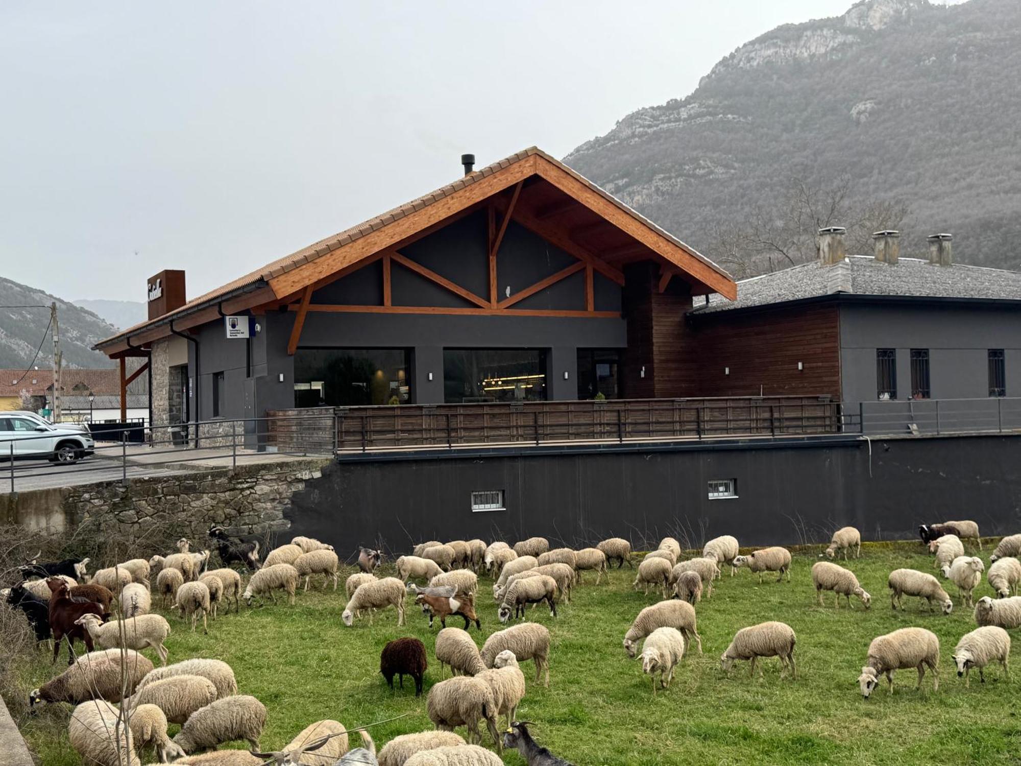 Hotel Cotiella Campo  Zewnętrze zdjęcie